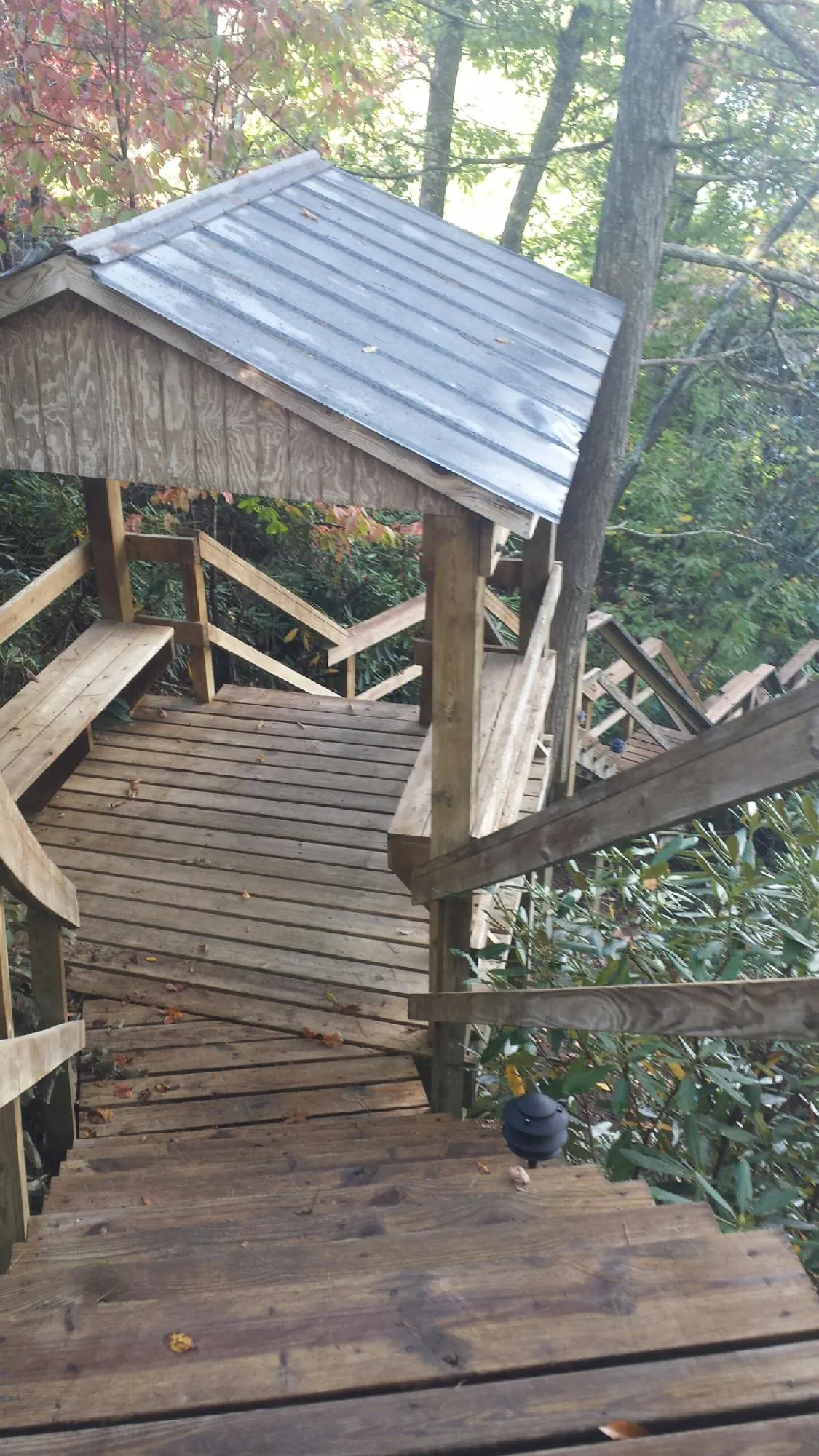 Metal roofed shelter over wooden steps on a wooded walkway — Skylight Repair & Installation work by our crew in Mascotte